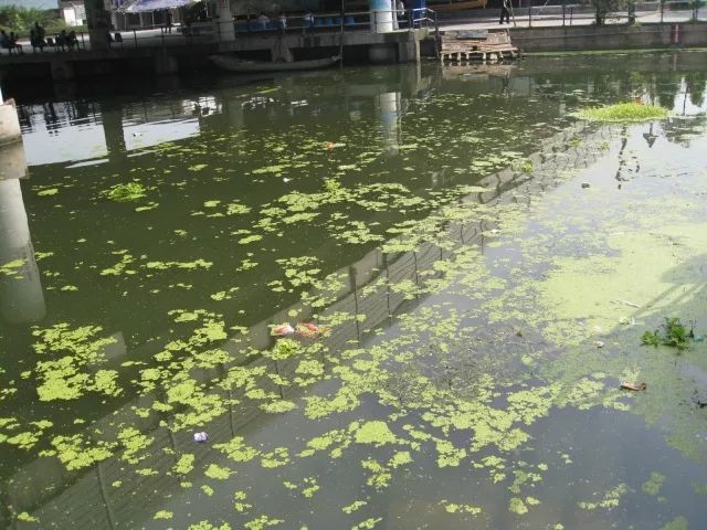 城市黑臭河道如何治理？河道黑臭水體治理思路