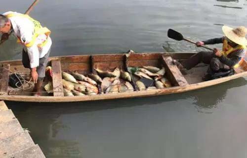 廣州旺旺食品廢水直排，永和河大量魚類死亡